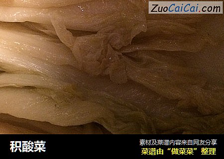 积酸菜