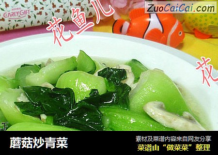 蘑菇炒青菜