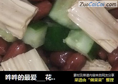 吽吽的最爱___花生米拌腐竹