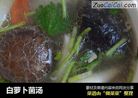 白萝卜菌汤