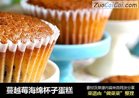 蔓越莓海绵杯子蛋糕