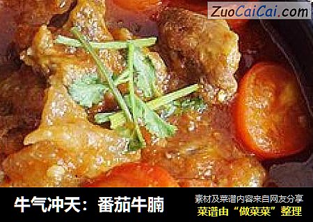 牛气冲天：番茄牛腩