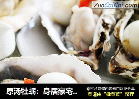原汤牡蛎：身居豪宅的白富美