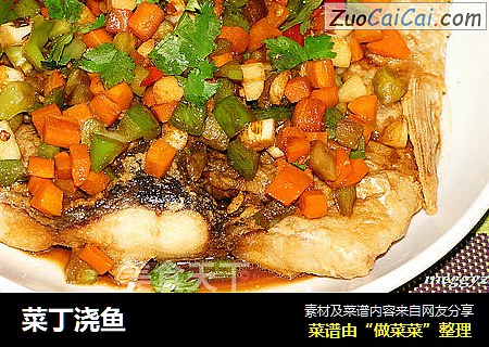 菜丁浇鱼