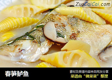春笋鲈鱼