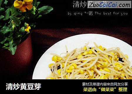 清炒黄豆芽