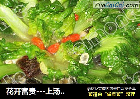 花开富贵---上汤塔菜