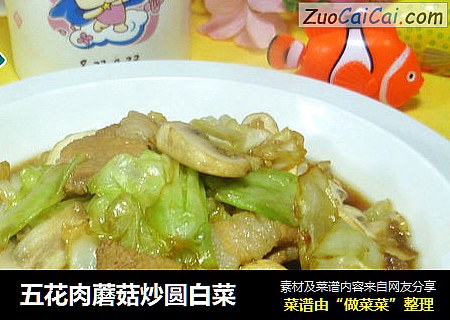 五花肉蘑菇炒圆白菜