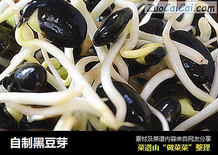 自制黑豆芽