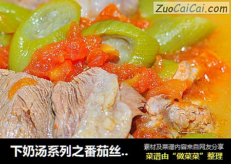 下奶汤系列之番茄丝瓜肉骨汤