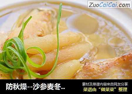 防秋燥--沙参麦冬炖鸡汤
