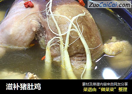 滋补猪肚鸡