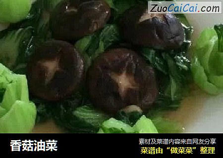 香菇油菜