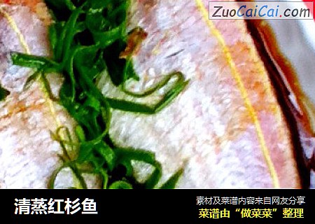 清蒸红杉鱼