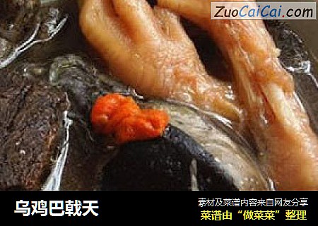 乌鸡巴戟天