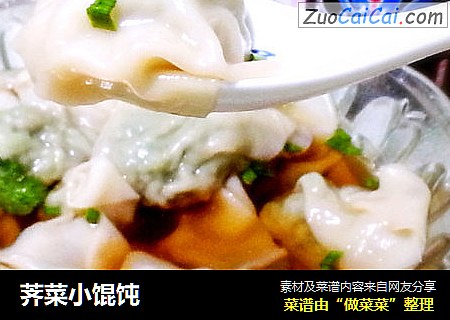 荠菜小馄饨