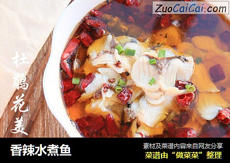 香辣水煮鱼