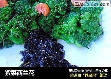 紫菜西兰花
