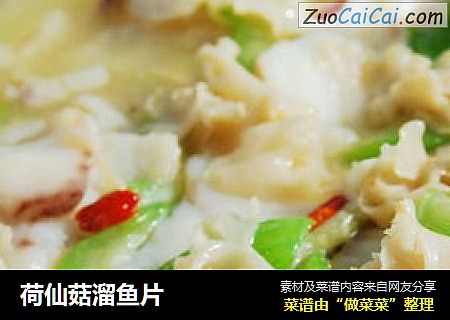 荷仙菇溜鱼片