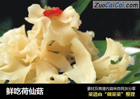鲜吃荷仙菇