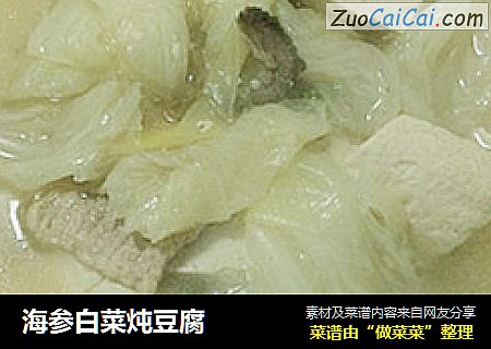 海参白菜炖豆腐