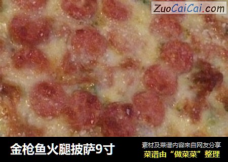 金枪鱼火腿披萨9寸