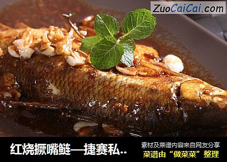 红烧撅嘴鲢—捷赛私房菜