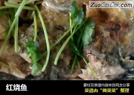 红烧鱼