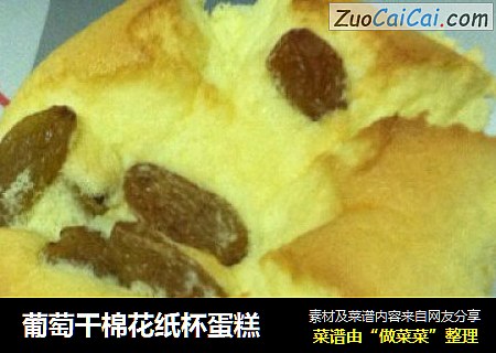 葡萄干棉花纸杯蛋糕