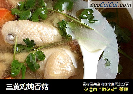 三黄鸡炖香菇