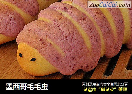 墨西哥毛毛虫