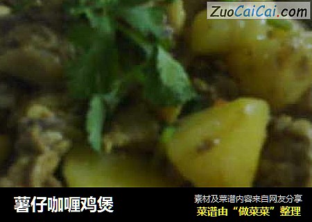 薯仔咖喱鸡煲