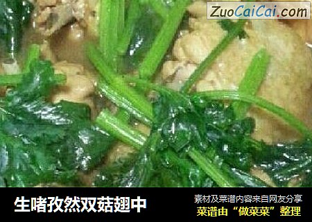 生啫孜然双菇翅中