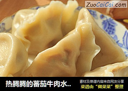 热腾腾的蕃茄牛肉水饺——做出鲜嫩带汤牛肉馅秘方大公开