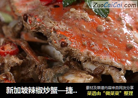 新加坡辣椒炒蟹—捷赛私房菜