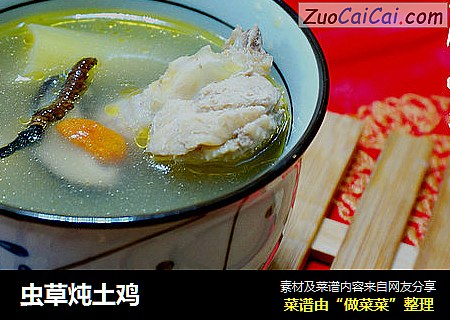 虫草炖土鸡