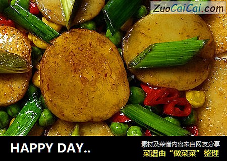 HAPPY DAY - 圣诞年糕 - 花式爆炒年糕
