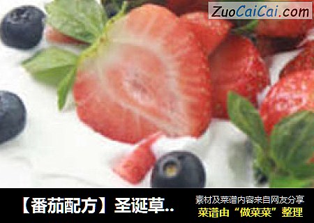 【番茄配方】圣诞草莓裸蛋糕——明星也爱的裸蛋糕，番茄教您打造