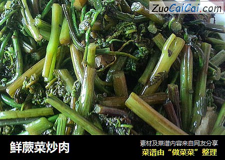 鲜蕨菜炒肉