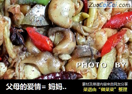 父母的爱情= 妈妈的秘方 =将餐厅搬到了节日的餐桌=铁板鱼膘