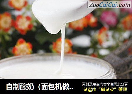 自制酸奶（面包机做美味酸奶）