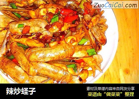 辣炒蛏子