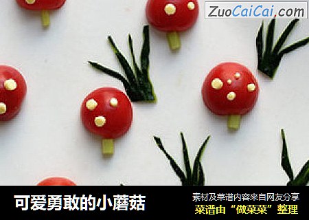 可爱勇敢的小蘑菇