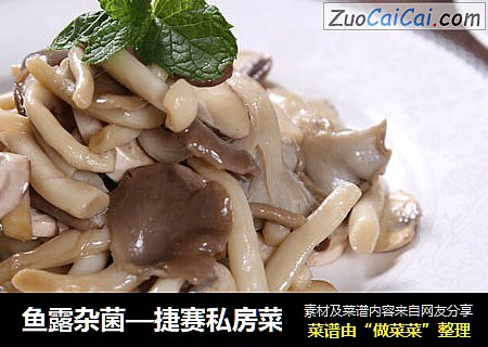 鱼露杂菌—捷赛私房菜