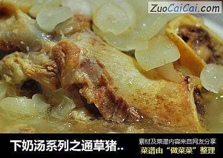 下奶汤系列之通草猪骨汤