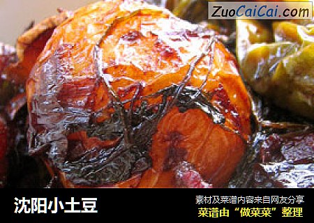 沈阳小土豆