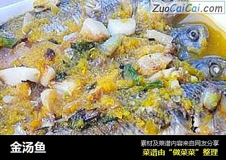 金汤鱼