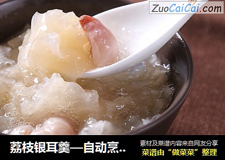 荔枝银耳羹—自动烹饪锅食谱