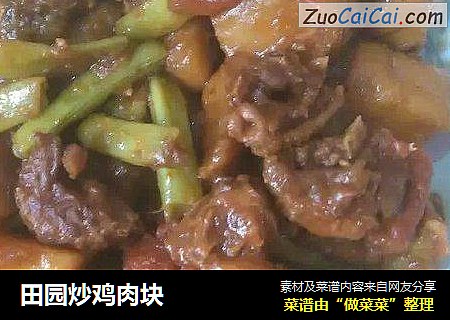 田园炒鸡肉块