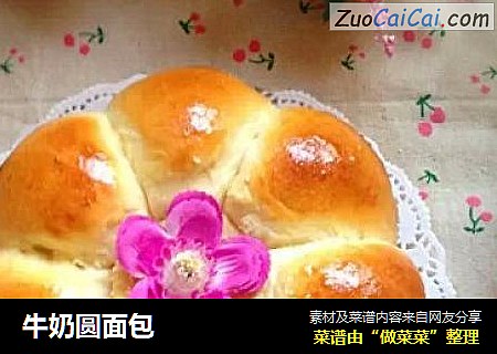 牛奶圆面包